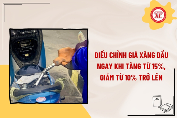Pháp luật