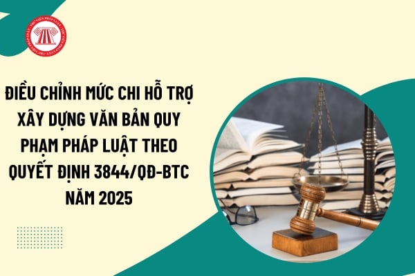 Pháp luật