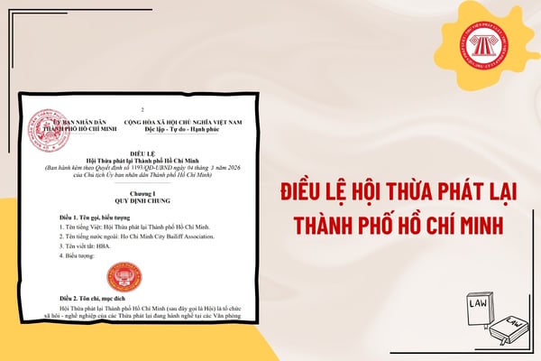 Pháp luật