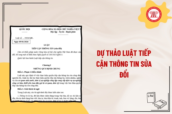 Pháp luật