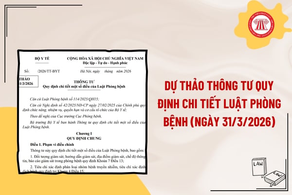 Pháp luật