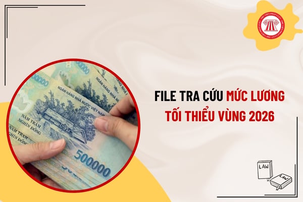 Pháp luật