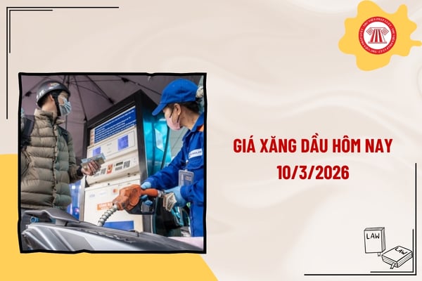 Pháp luật