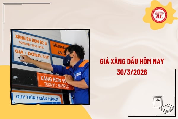Pháp luật