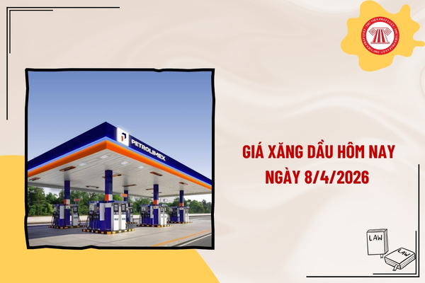 Pháp luật