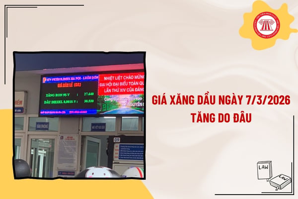 Pháp luật