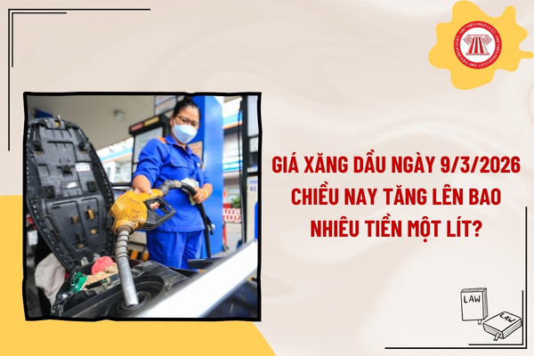 Pháp luật