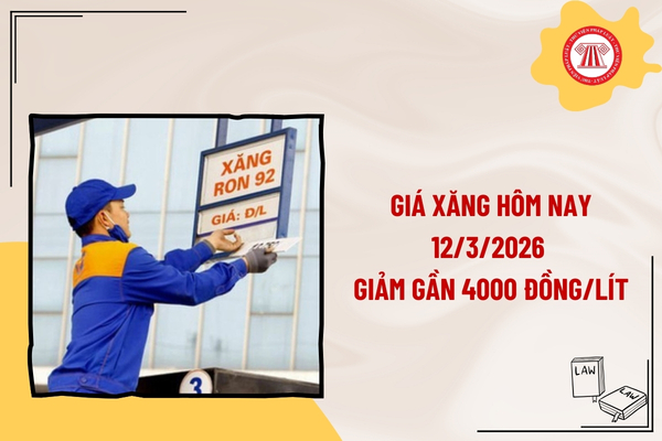 Pháp luật