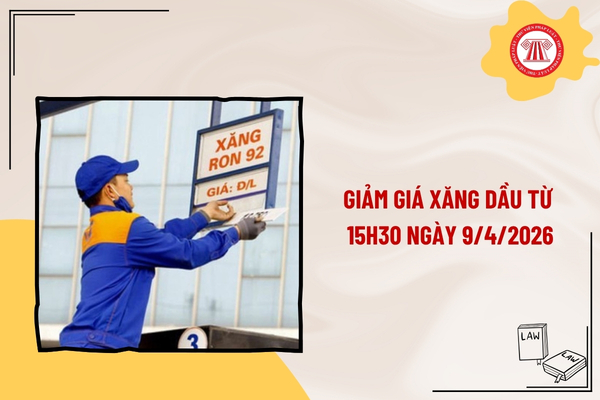 Pháp luật