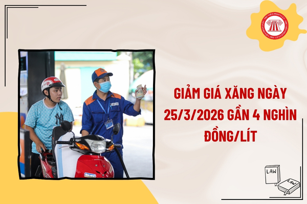 Pháp luật