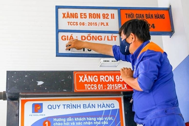 Pháp luật