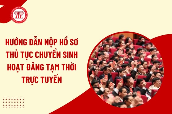 Pháp luật