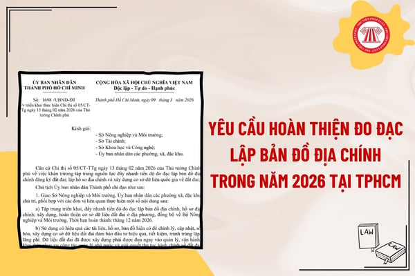 Pháp luật