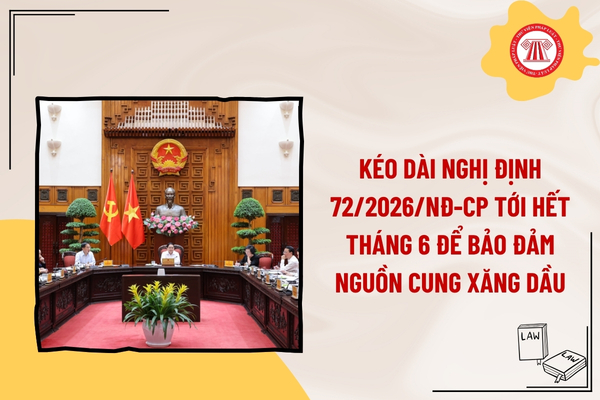 Pháp luật