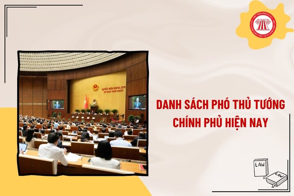 Pháp luật