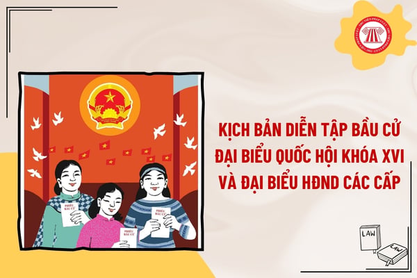 Pháp luật