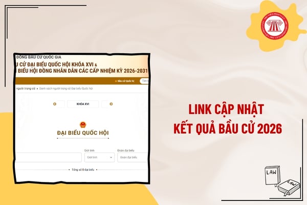 Pháp luật