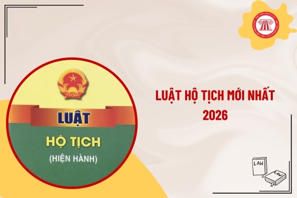 Pháp luật