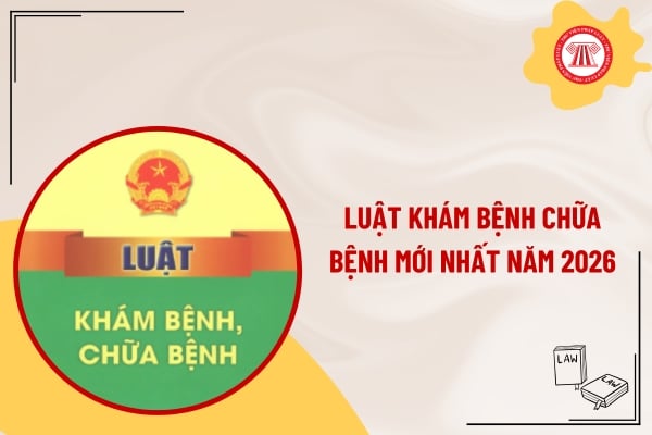 Pháp luật