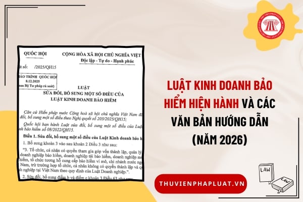 Pháp luật