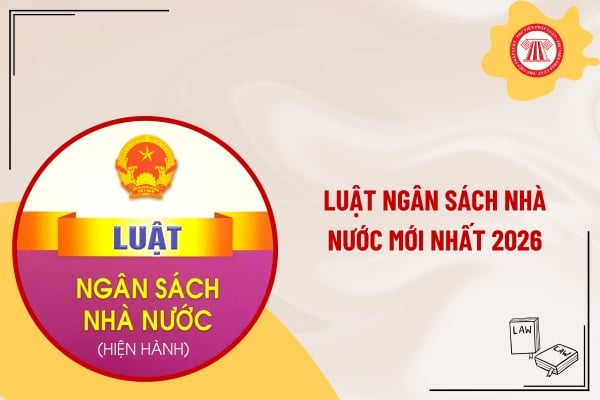 Pháp luật