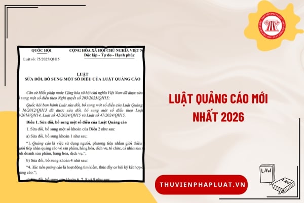 Pháp luật
