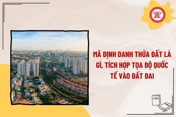 Pháp luật