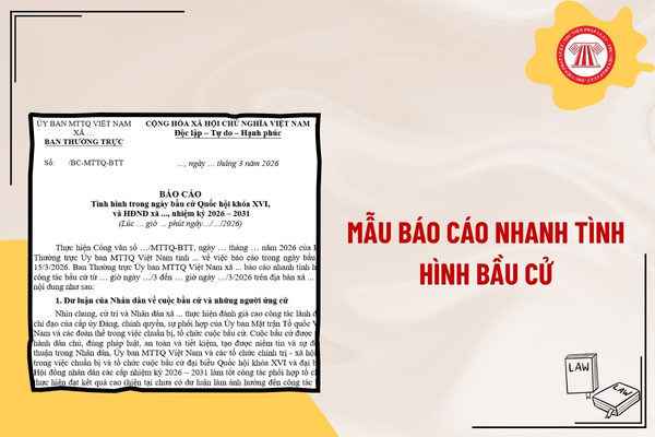 Pháp luật