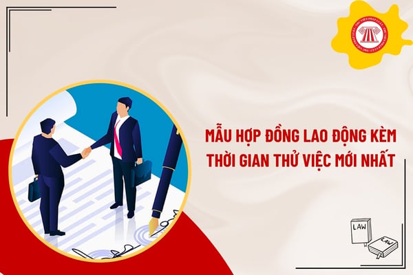 Pháp luật