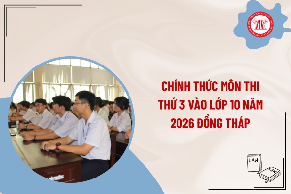 Pháp luật