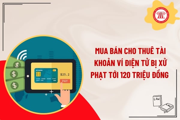Pháp luật