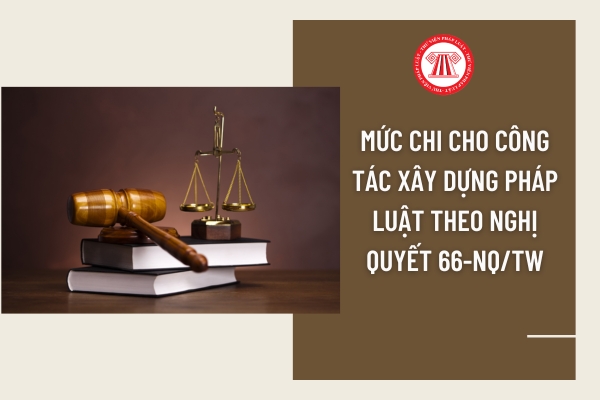 Pháp luật