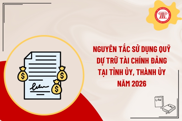 Pháp luật
