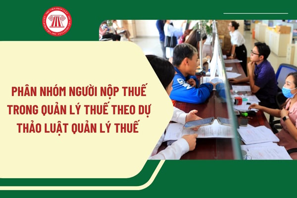 Pháp luật