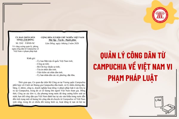 Pháp luật