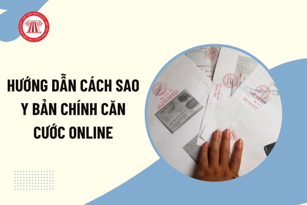 Pháp luật