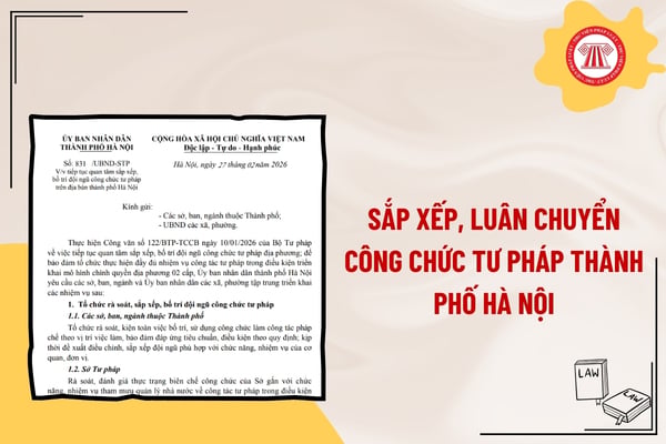 Pháp luật