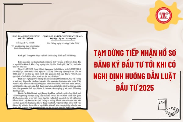 Pháp luật
