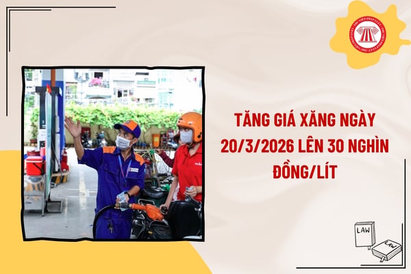 Pháp luật