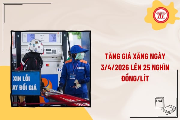 Pháp luật