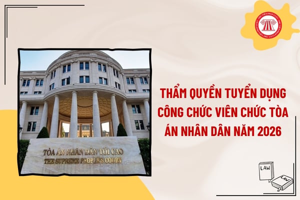 Pháp luật