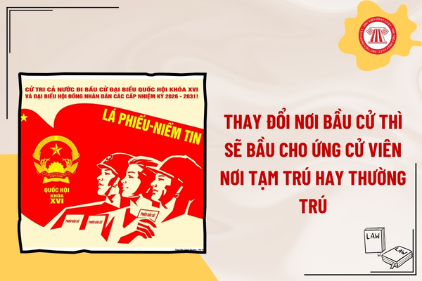 Pháp luật