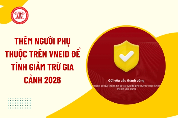 Pháp luật