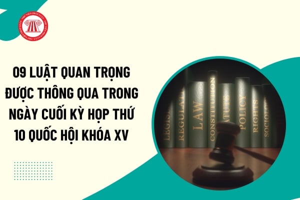 Pháp luật