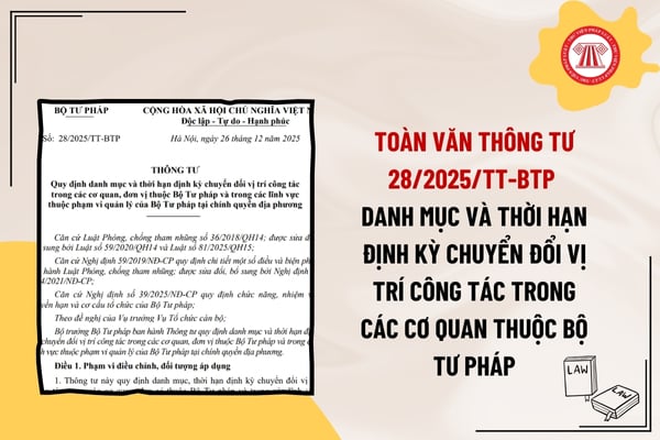 Pháp luật