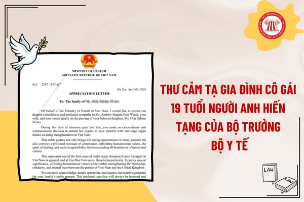 Pháp luật