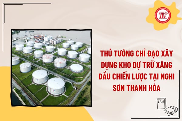 Pháp luật