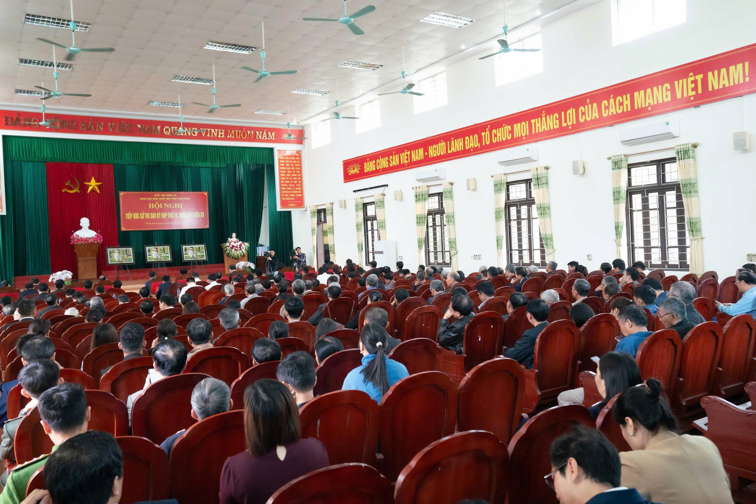 Pháp luật
