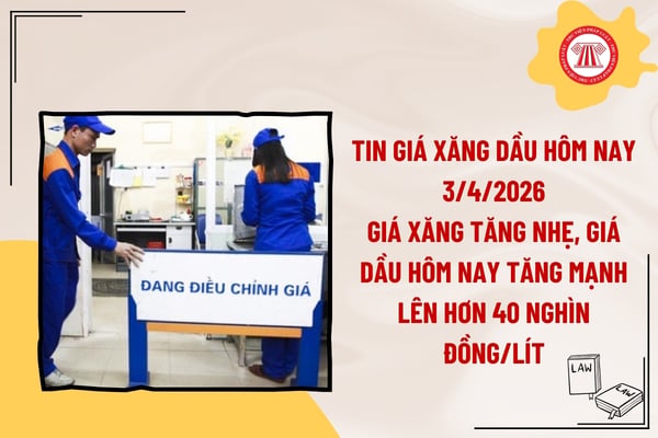Pháp luật