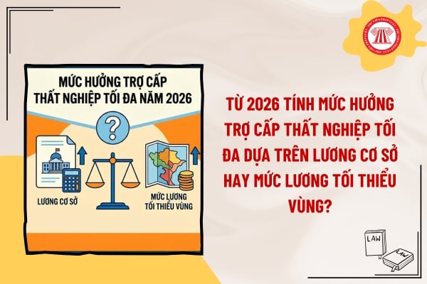 Pháp luật